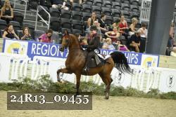 24R13_09455 thumbnail