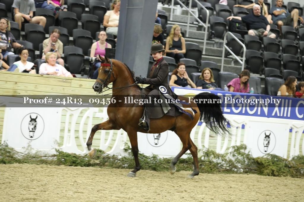 Proof Number 24R13_09456
