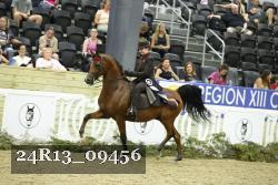 24R13_09456 thumbnail