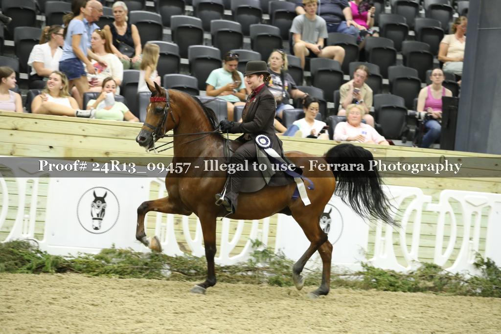 Proof Number 24R13_09457