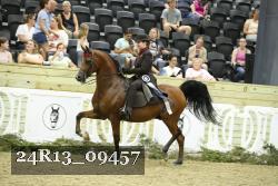 24R13_09457 thumbnail