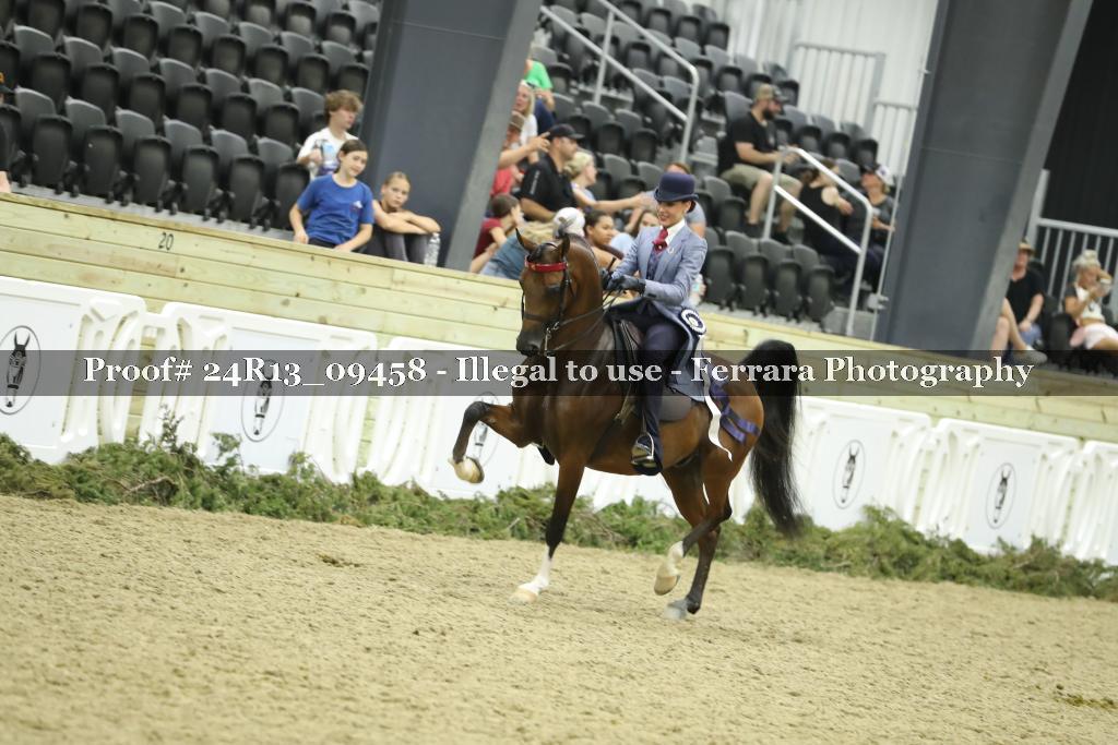 Proof Number 24R13_09458