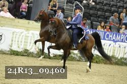 24R13_09460 thumbnail