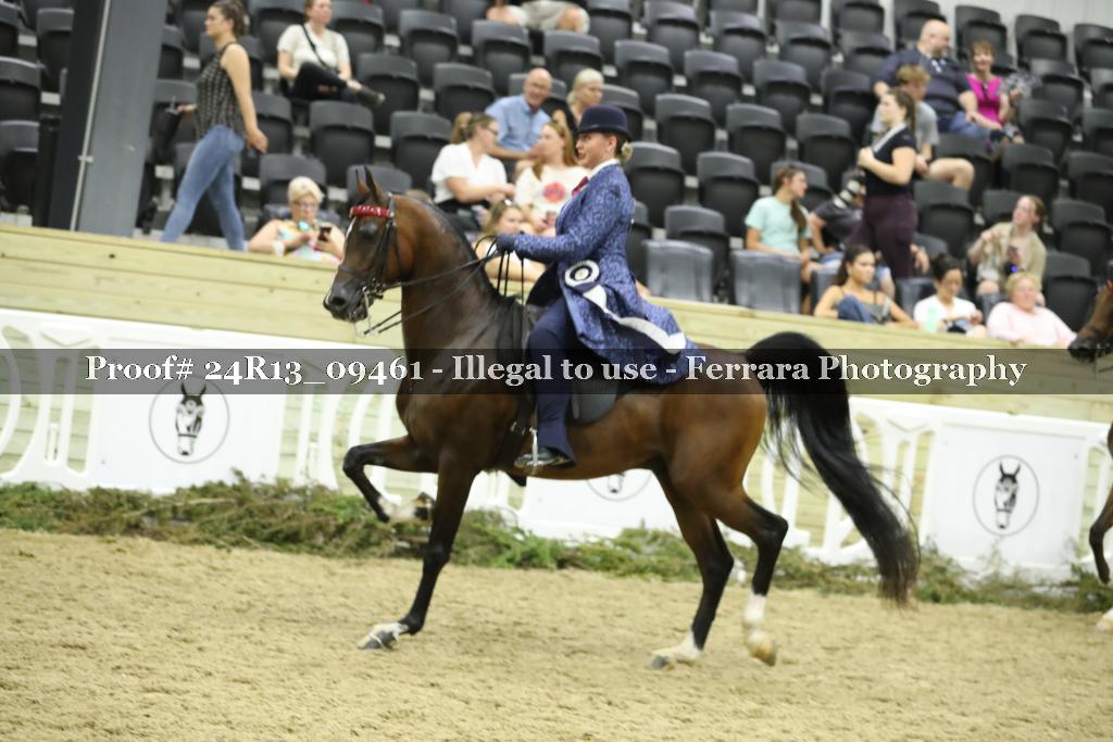 Proof Number 24R13_09461