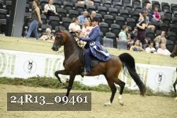 24R13_09461 thumbnail