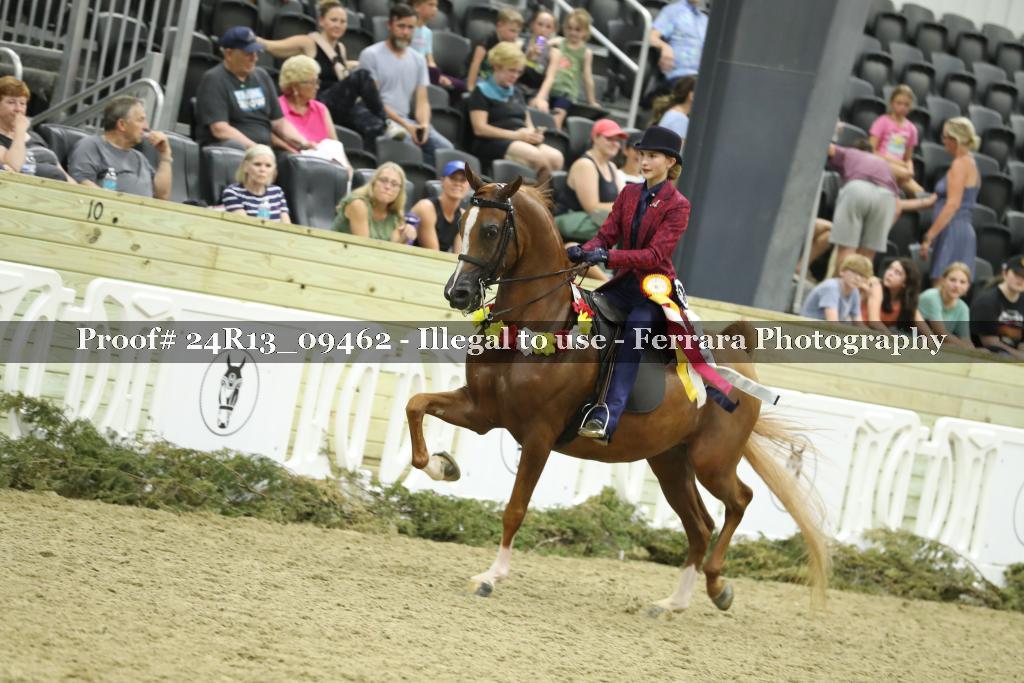 Proof Number 24R13_09462
