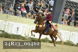 24R13_09462 thumbnail