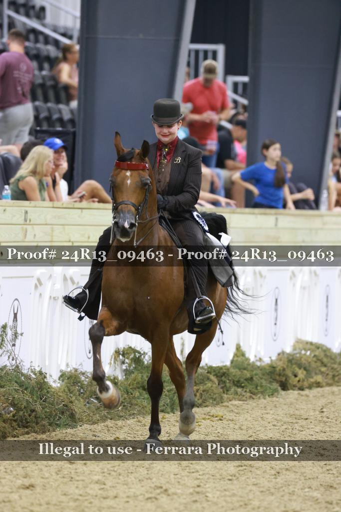 Proof Number 24R13_09463