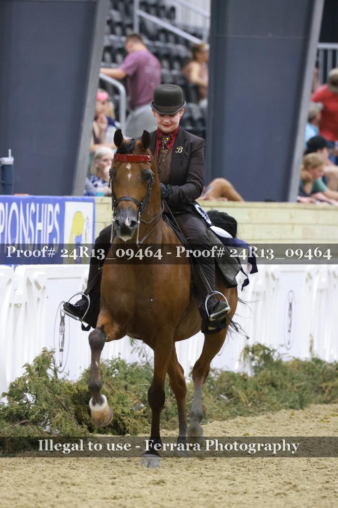 Proof Number 24R13_09464