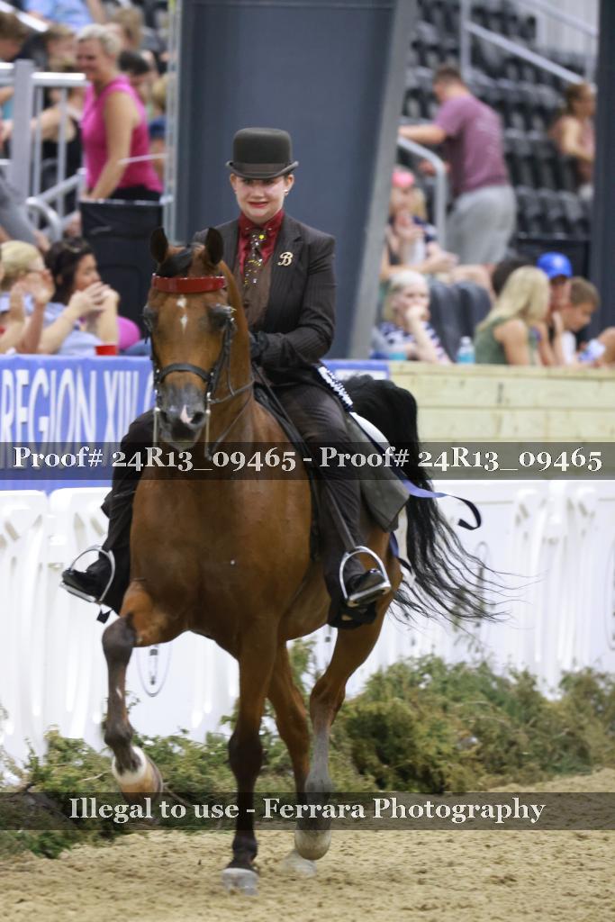 Proof Number 24R13_09465