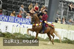 24R13_09466 thumbnail