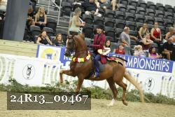24R13_09467 thumbnail