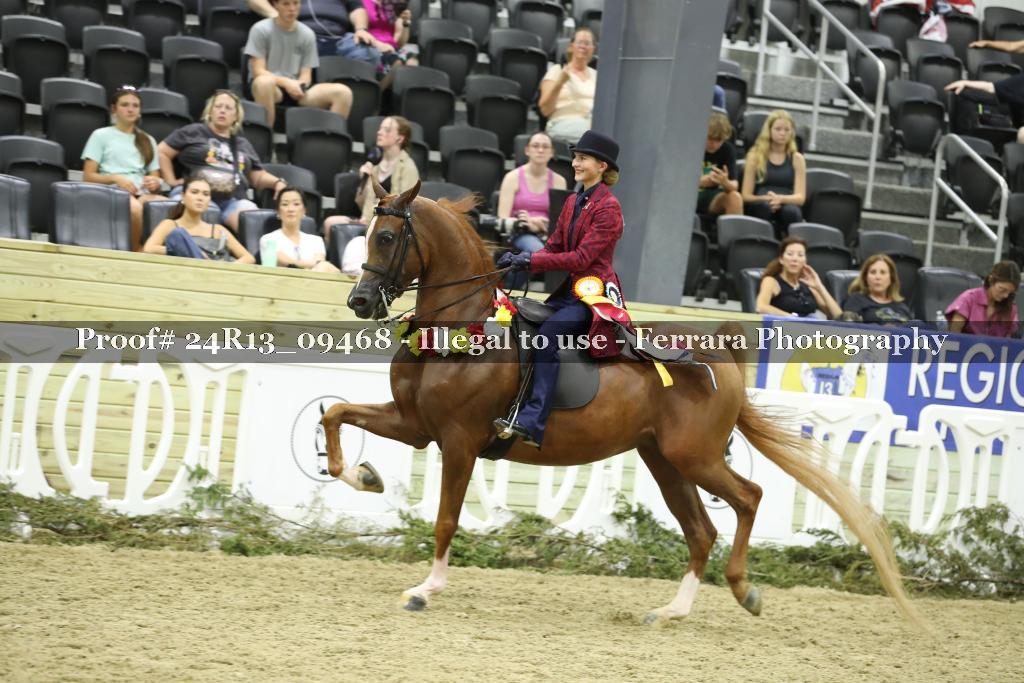 Proof Number 24R13_09468