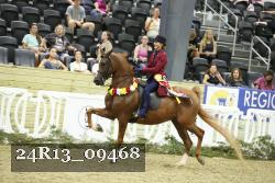 24R13_09468 thumbnail