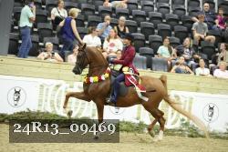 24R13_09469 thumbnail