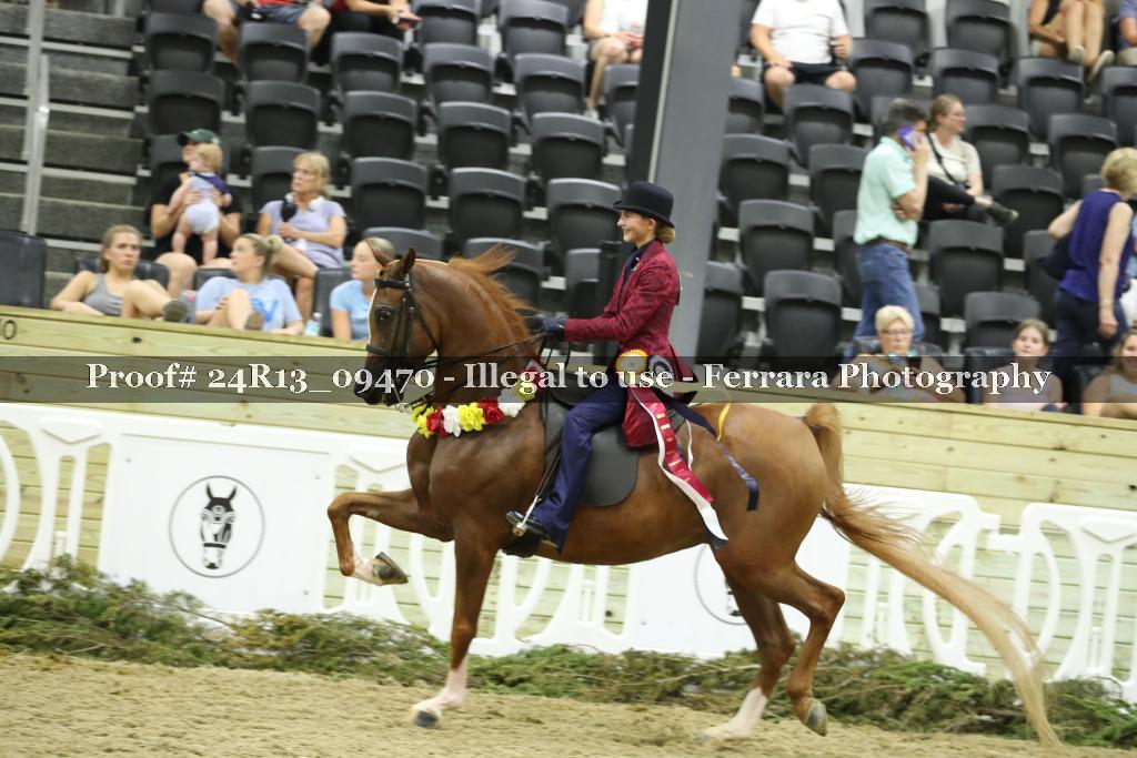 Proof Number 24R13_09470