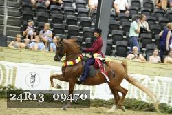 24R13_09470 thumbnail