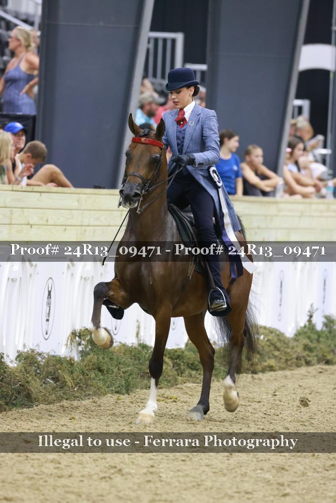 Proof Number 24R13_09471