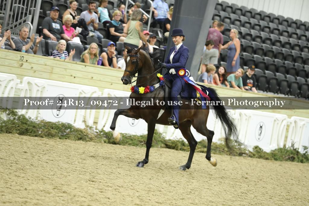 Proof Number 24R13_09472