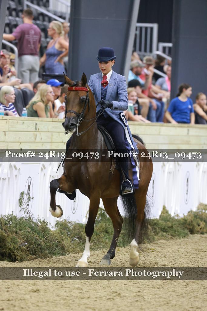 Proof Number 24R13_09473