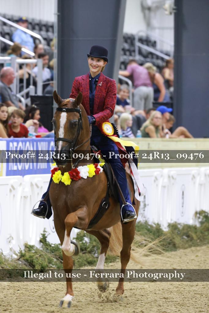 Proof Number 24R13_09476