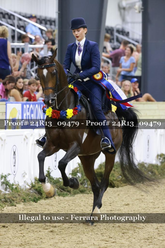 Proof Number 24R13_09479
