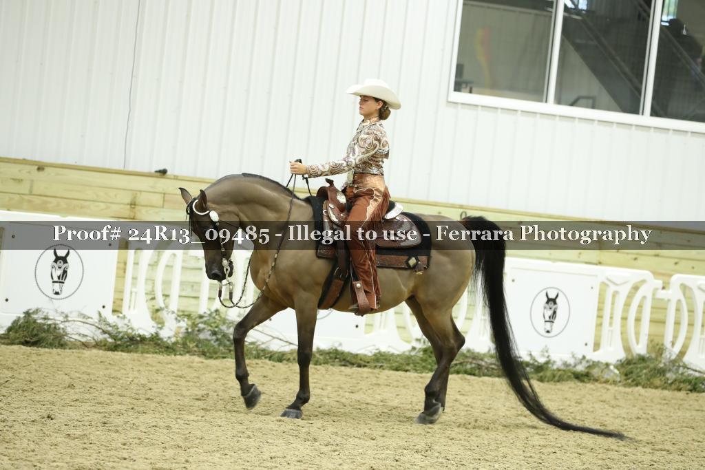 Proof Number 24R13_09485