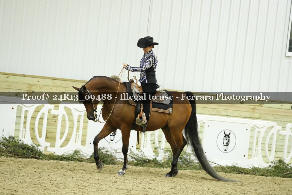 Proof Number 24R13_09488