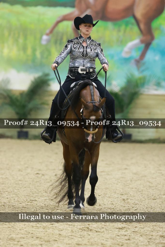 Proof Number 24R13_09534