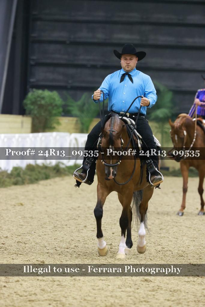 Proof Number 24R13_09535