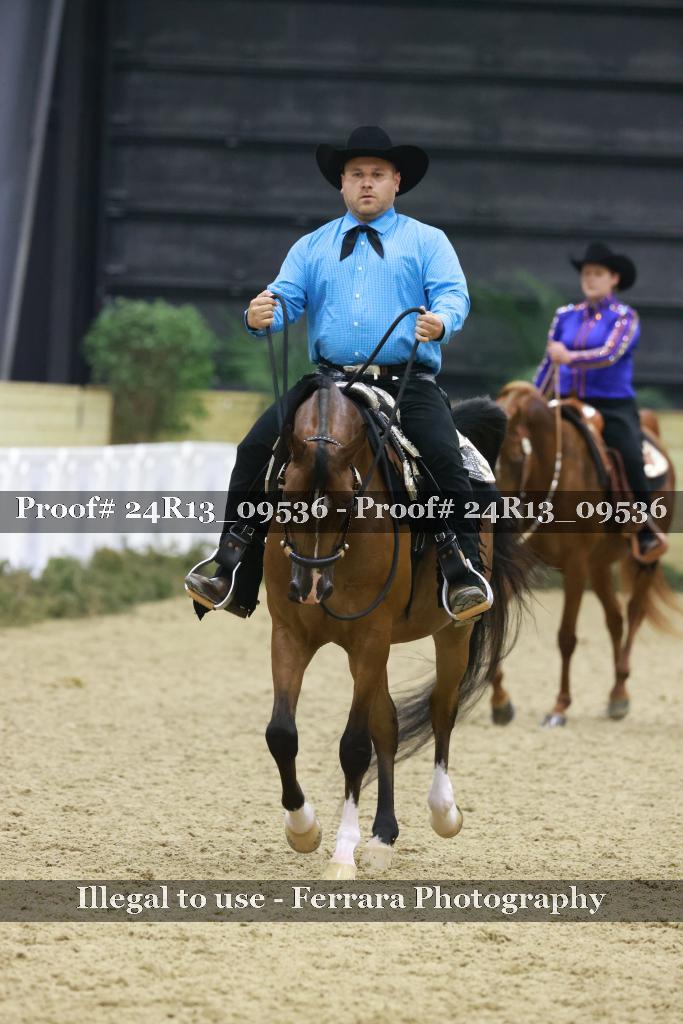 Proof Number 24R13_09536