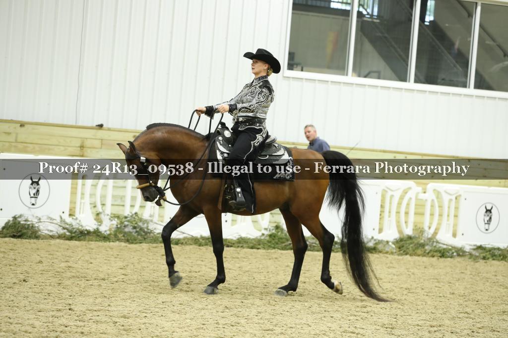 Proof Number 24R13_09538