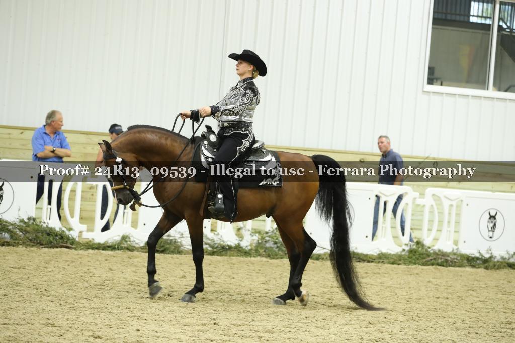 Proof Number 24R13_09539
