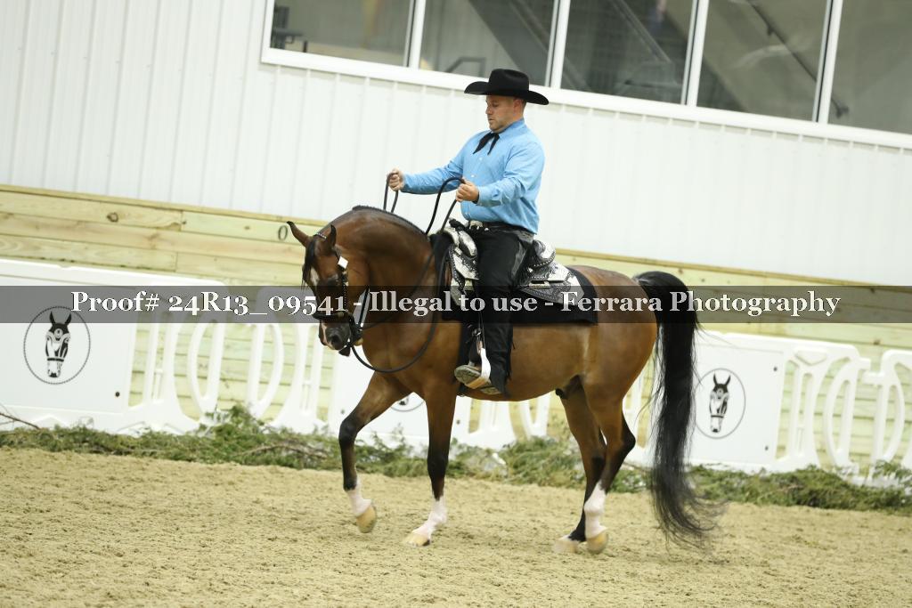 Proof Number 24R13_09541