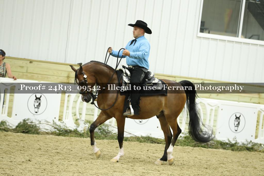 Proof Number 24R13_09542