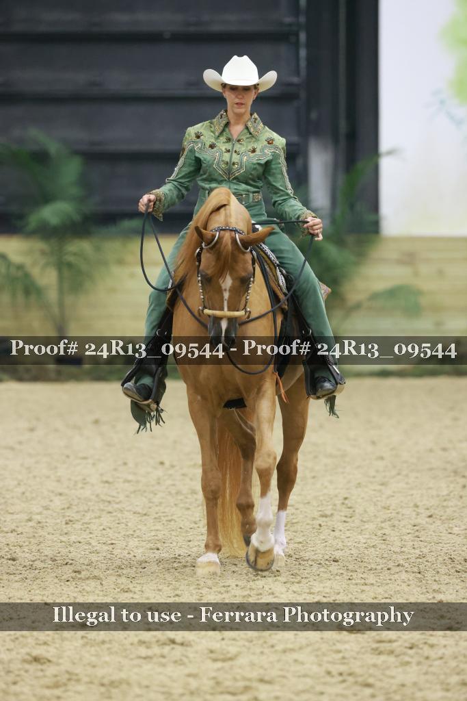 Proof Number 24R13_09544