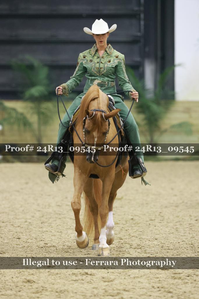 Proof Number 24R13_09545