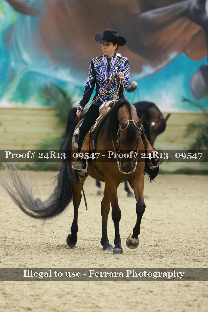 Proof Number 24R13_09547