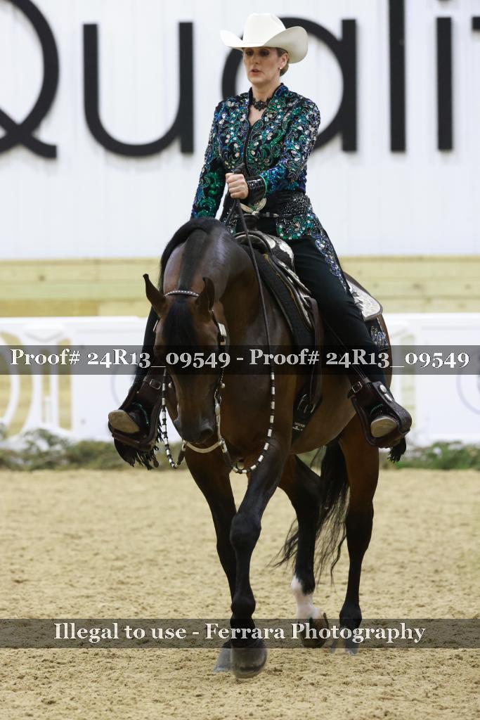 Proof Number 24R13_09549