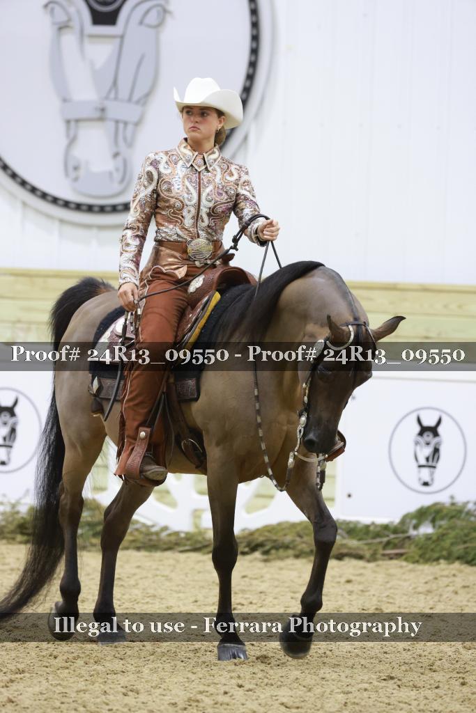 Proof Number 24R13_09550