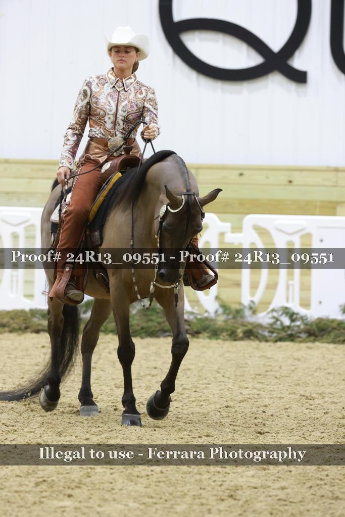 Proof Number 24R13_09551