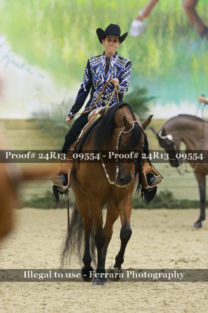 Proof Number 24R13_09554