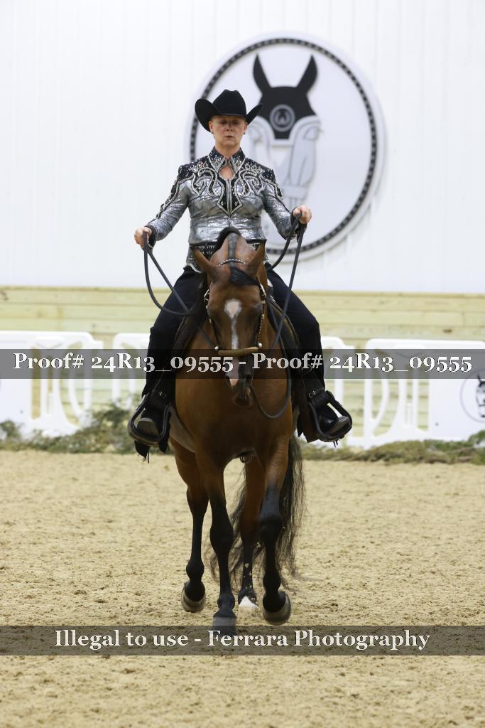 Proof Number 24R13_09555