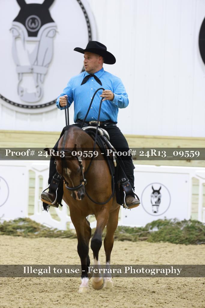 Proof Number 24R13_09559