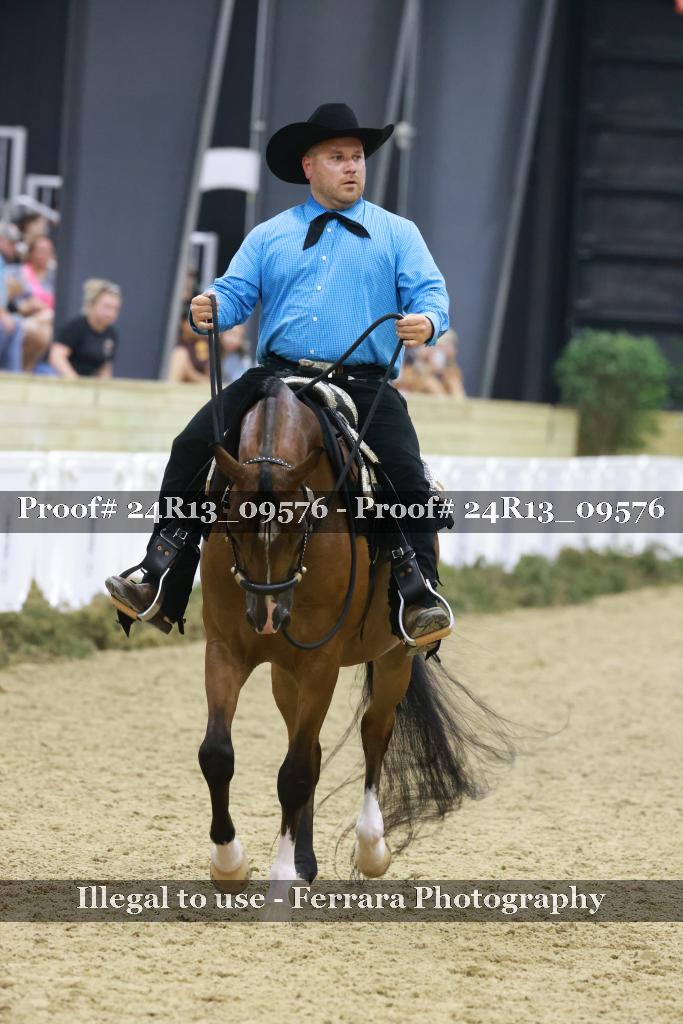 Proof Number 24R13_09576