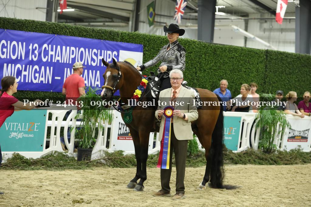 Proof Number 24R13_09609