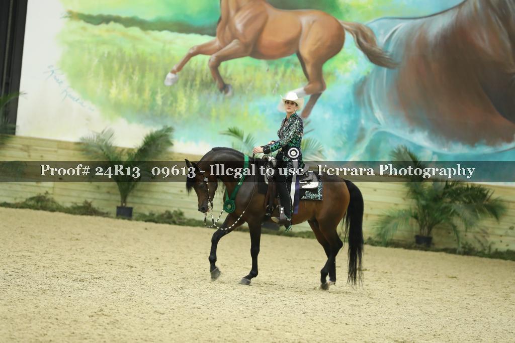 Proof Number 24R13_09613