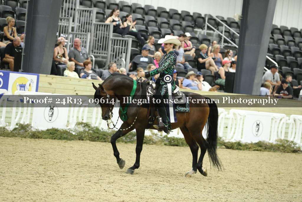Proof Number 24R13_09614
