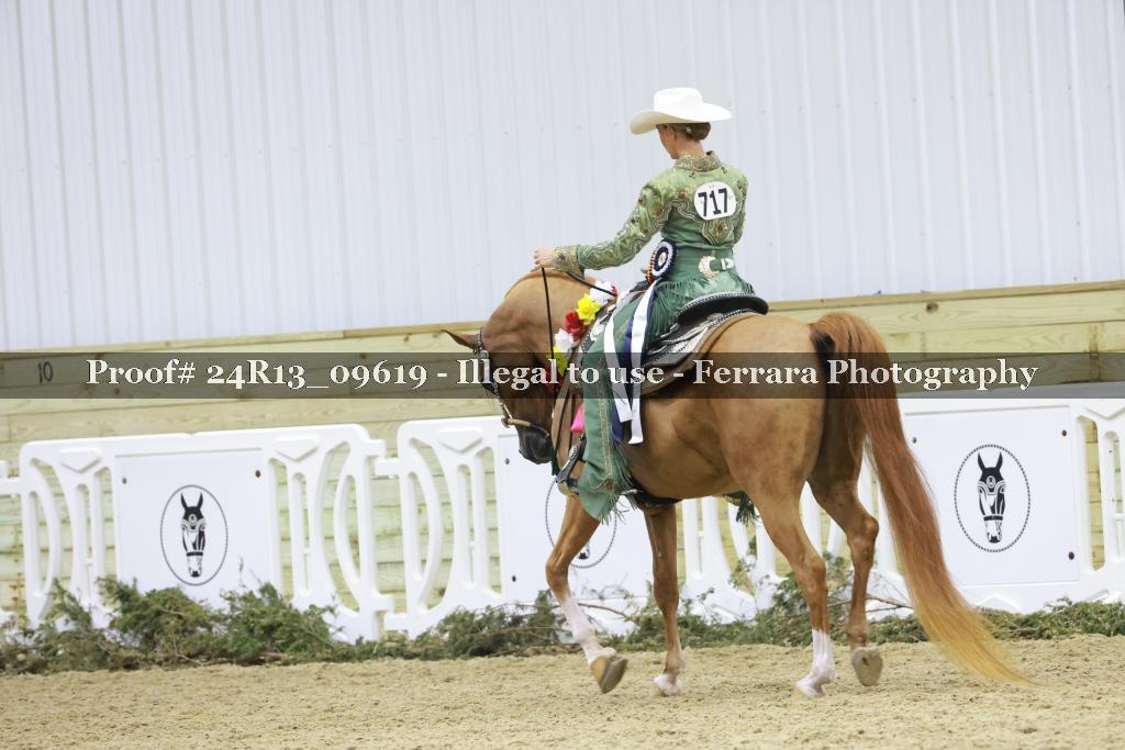 Proof Number 24R13_09619
