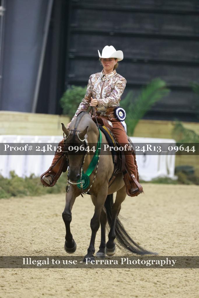 Proof Number 24R13_09644